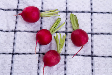 Four ripe radishes, top view. Fresh vegetables ready for cooking. Checkered cloth background.