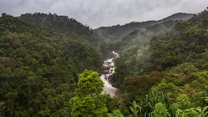 Fotobehang Afrika Rain forest landscape, Ranomafana, Madagascar  © lnichetti