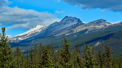 Mountain near Banff national park with trees, clouds and blue sky