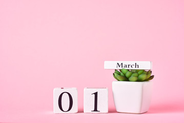 Wooden block calendar with date 1st march and plant on the pink background. Spring concept