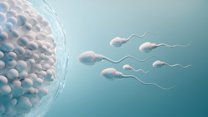 Sperm and egg cell.Natural fertilization.3d illustration on blue background - obrazy, fototapety, plakaty