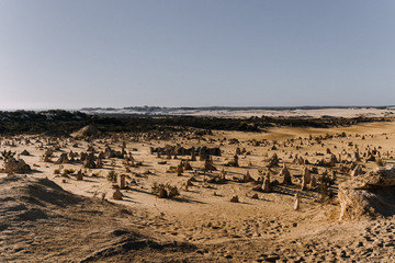 Obraz premium Amazing rock formation in the desert, Pinnacles in Australia