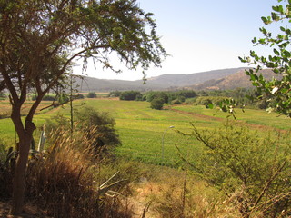 Desde el cerro