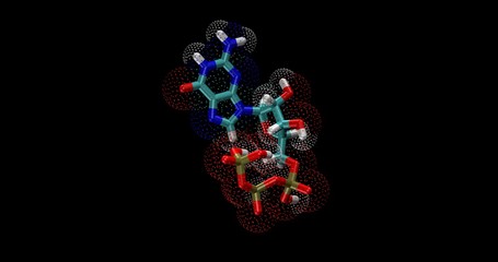 Guanosine triphosphate (GTP)