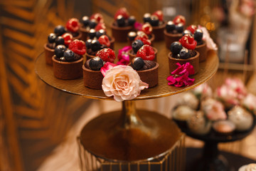 stylish candy bar on the birthday or wedding festive party close up. sweets and delisious desserts on a festive table decorated with flowers. set of  beautiful cakes on the plates on the holiday