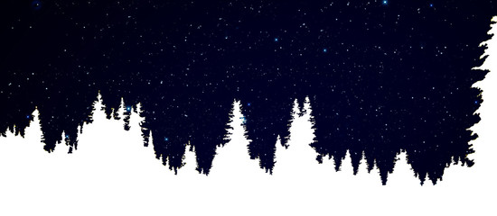 Night sky over the winter forest. Winter night landscape. Spruce forest in winter