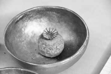 Trockene Mohnblume - Sammen
