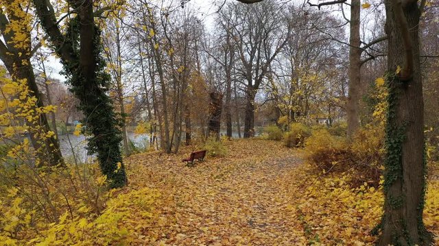 Volando con drone entre los arboles oto&ntilde;ales en Berlin