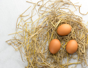 Brown chicken eggs on straw isolated on white background.
