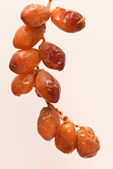 Fresh date fruit