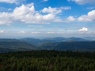 Fototapeta na wymiar Scenic view on the forest and mountain from the top of the Badener Höhe Tower