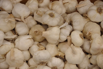 High angle view of tray of garlic on display for sale at a market stand