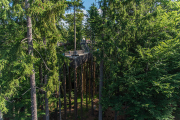 Tree tower, Tree Top Walk, Bavarian Forest National Park, Neusch&ouml;nau, Bavaria, Germany