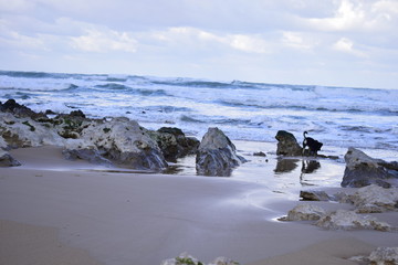 Fototapeta na wymiar Playa de Liencres