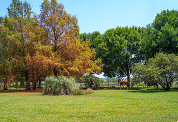 Argentina, classical architecture and tradition