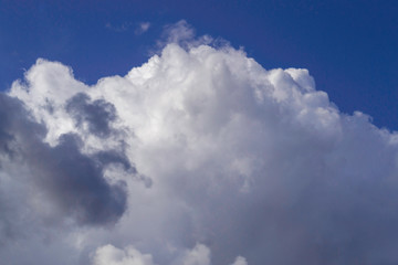 Obraz premium White cumulus clouds on blue sky.