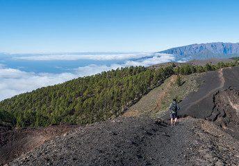 Beautiful volcanic landscape with lush green pine trees and colorful volcanoes along the path Ruta...