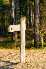 The direction indicator in the forest.