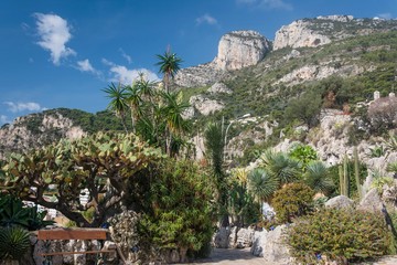 ogród monaco © witan