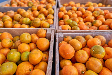 Lush orange ripe organic tangerines in a wooden boxes