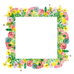 Watercolor hand painted nature floral meadow squared border frame with pink acacia, Arnica, wormwood, blue Daisy, yellow dandelion flowers and green leaves on the white background for greeting cards