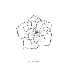 Greenery design elements. Botanical logos.