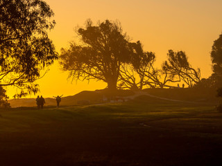 Fototapeta na wymiar Silhouette Trees On Landscape Against Sky During Sunset