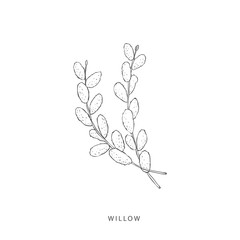 Greenery design elements. Botanical logos.