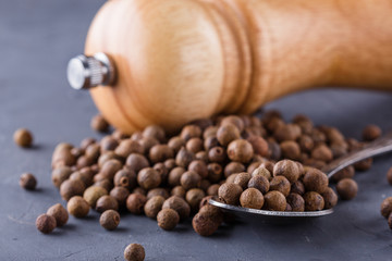 fresh spicy peppers allspice on a dark stone background