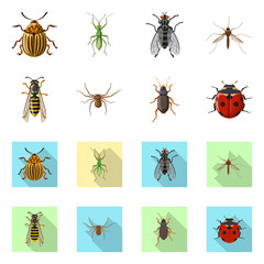 Vector design of insect and fly icon. Collection of insect and element stock vector illustration.