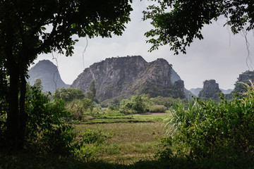 Green mountains near rice fields