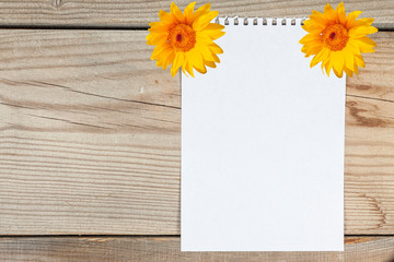 A sheet of white paper attached by sunflowers on a wooden board.