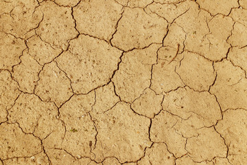 The cracked, dried earth is yellow. A desert without water. Arid ground. Thirst for moisture on a lifeless space. Ecological situation in the world. Saving water and natural resources
