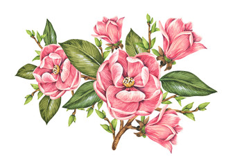 Fototapeta premium Bouquet of flowers for the design of postcards and posters.