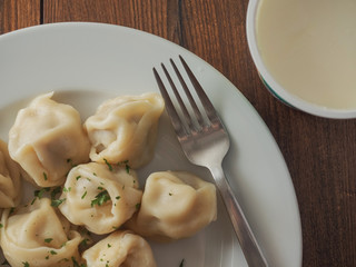Dumpling on a white plate with herbs, pot with sour cream and metal fork. Traditional Eastern European food,