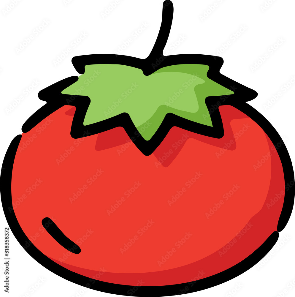 Wall mural tomato vegetable doodle sketch icon