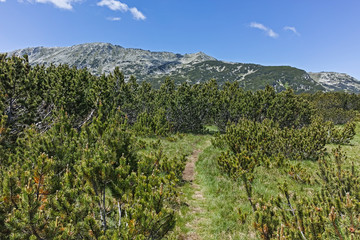 Landscape near The Fish Lakes (Ribni Ezera), Rila mountain