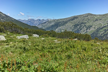 Fototapeta premium Landscape near The Fish Lakes (Ribni Ezera), Rila mountain