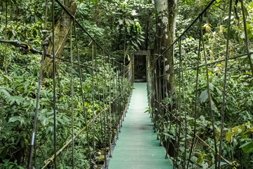 Obraz premium puente en bosque 