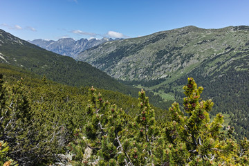 Landscape near The Fish Lakes (Ribni Ezera), Rila mountain