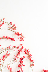 Red wildflowers on white background. Flat lay, top view minimalistic floral composition.