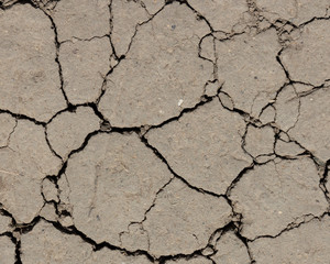 texture of cracked dry soil due to drought