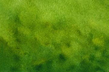 Fototapeta na wymiar landscape green watercolor grass field with blur trees background,