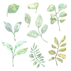 Delicate clipart with watercolor leaves and branches of various colors for the design of postcards, printing, linen, fabrics, souvenirs and any design