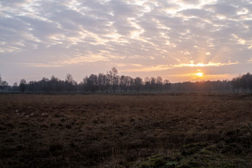 Fototapeta na wymiar Landschaftsschutzgebiet Stapeler Moor bei Uplengen in Niedersachsen