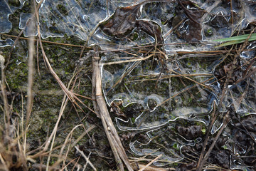 frozen puddle ice winter