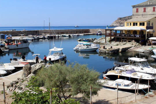 le port de centuri / corse