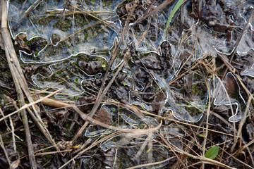 frozen puddle ice winter