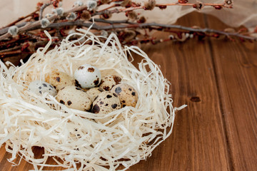 Easter quail eggs in nest and willow branch on a wooden background, copy space