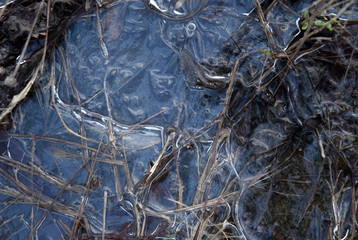 frozen puddle ice winter